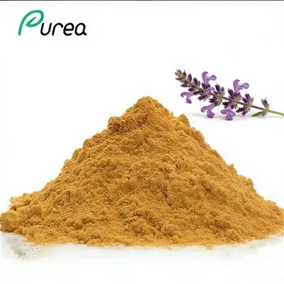 Ajuga Turkestanica ekstrakti pulber