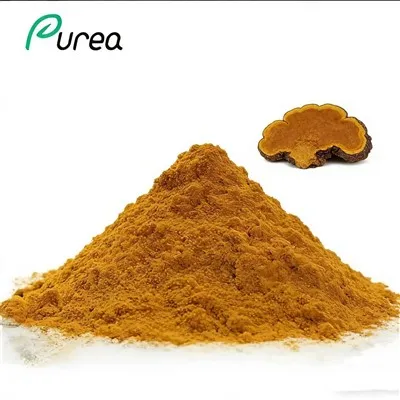 Phellinus Linteuse pulber
