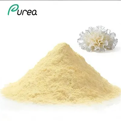 Orgaaniline Tremella pulber